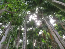 175563859_10217748017523263_7015535971740276147_n